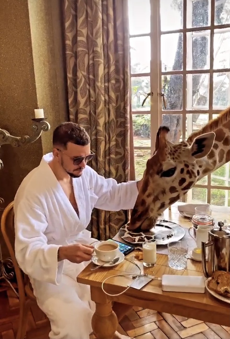 Антон нашел общий язык с жирафами
