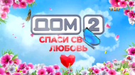 Дневник ССЛ: 29 день