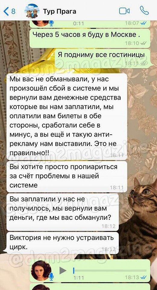 Пара раскрыла преступную схему и намерена обратиться в полицию. 