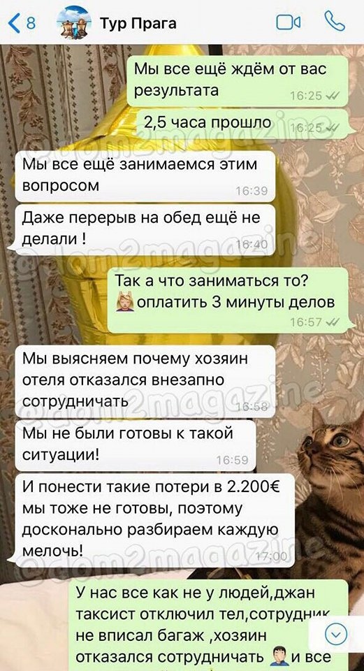 Пара раскрыла преступную схему и намерена обратиться в полицию. 