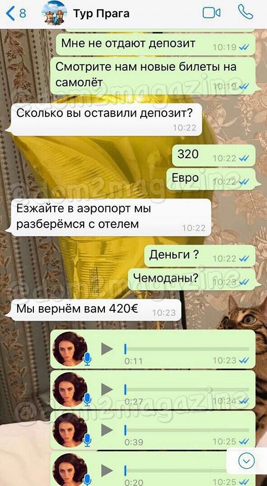 Пара раскрыла преступную схему и намерена обратиться в полицию. 