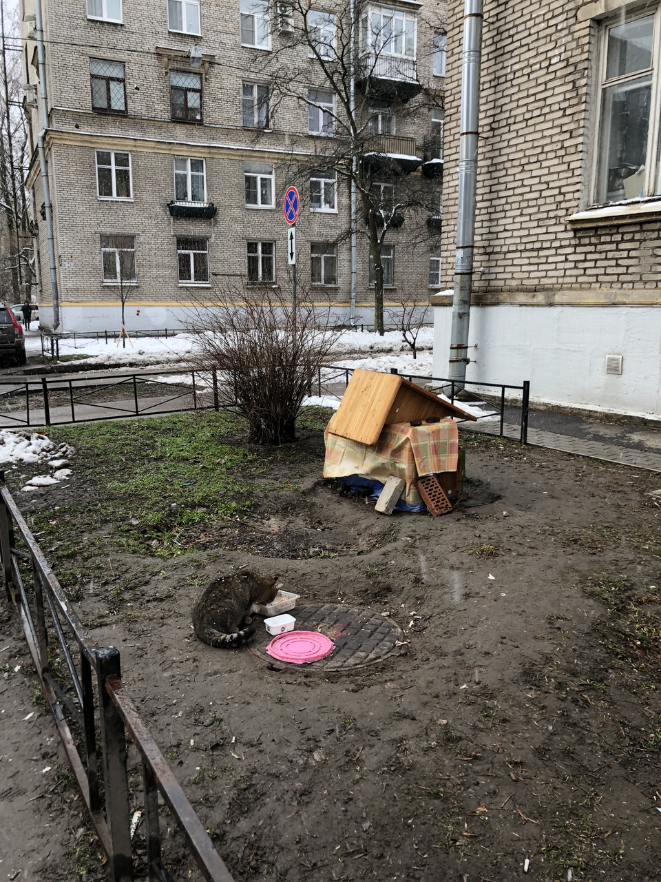 У дома звезды отстроили пристанище для бездомных домашних животных Фото: Архив журнала «ДОМ-2»