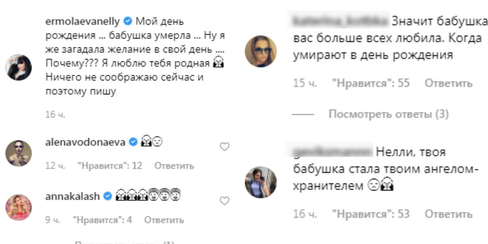 Нелли Ермолаеву поддержали Алёна Водонаева, Анна Калашникова и многочисленные подписчики Фото: «Инстаграм»