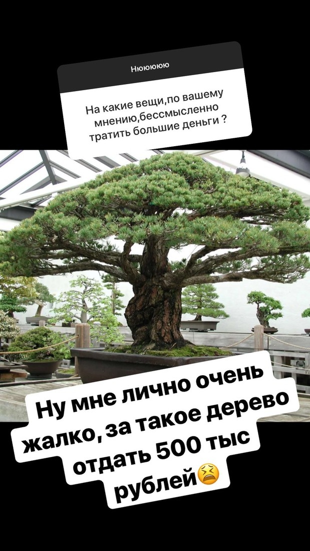 Ксения не готова тратить деньги, покупая растения ​Фото: «Инстаграм» 