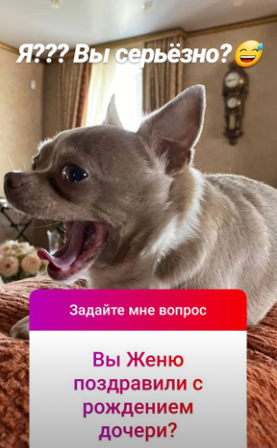 Телебабушка равнодушна к тому, что происходит в жизни бывшего зятя. 